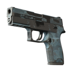 P250 | Forest Night (Battle-Scarred)