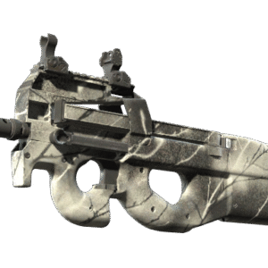 P90 | Ash Wood (Factory New)
