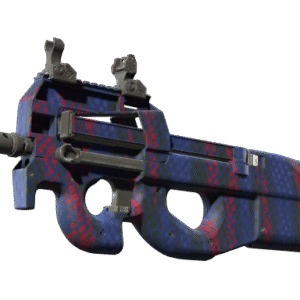 P90 | Teardown (Minimal Wear)