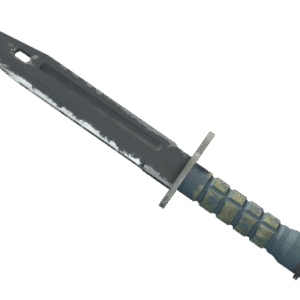 ★ Bayonet | Night (Field-Tested)
