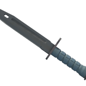 ★ Bayonet | Night (Minimal Wear)