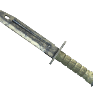 ★ Bayonet | Stained (Battle-Scarred)