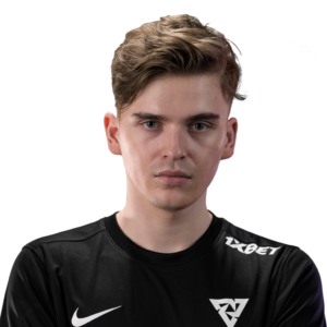 Buy Dota 2 Holo skiter Player Sticker - TI 2022 Champion skin