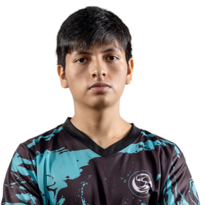 Buy Dota 2 Glitter payk Player Sticker - TI 2024 skin