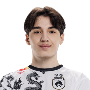 Buy Dota 2  Collapse Player Sticker - TI 2024 skin