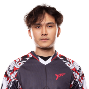 Buy Dota 2 Jabz Player Sticker - TI 2023 skin