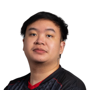 Buy Dota 2 skem Player Sticker - TI 2022 skin