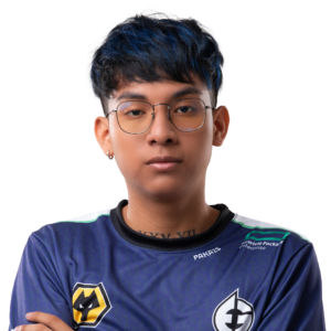 Buy Dota 2 Pakazs Player Sticker - TI 2023 skin