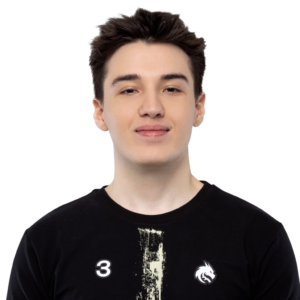 Buy Dota 2  Collapse Player Sticker - TI 2025 skin