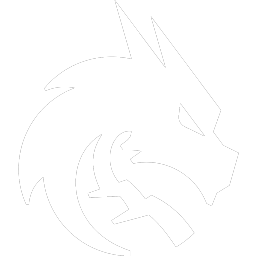 Buy Dota 2 Team Spirit Team Sticker - TI 2024 skin