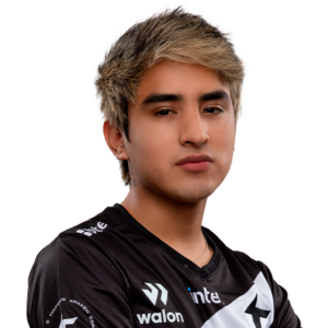 Buy Dota 2 Glitter Sacred Player Sticker - TI 2022 skin