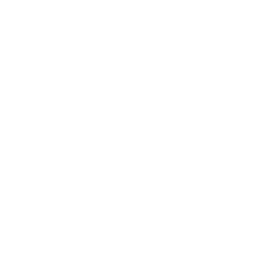Buy Dota 2  Gold Tundra Esports Team Sticker - TI 2022 skin